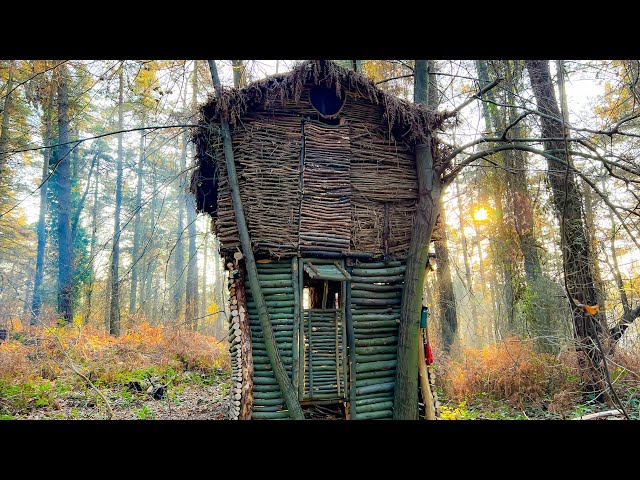 Upper summer, lower winter tree house. How boar and marten ate chickens!