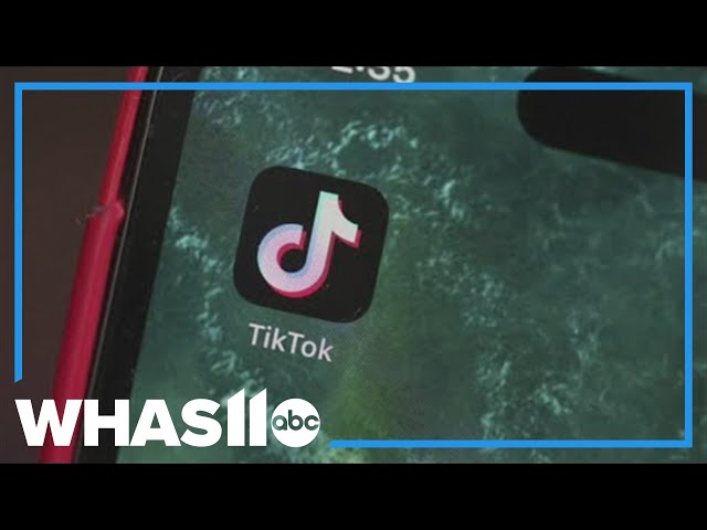 When will TikTok be back in the app store?