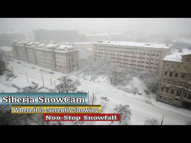 ❄️🅻🅸🆅🅴❄️Siberia SnowCam🥶View from a city where it is snowing now🧤NonStop 24/7 Snowfall