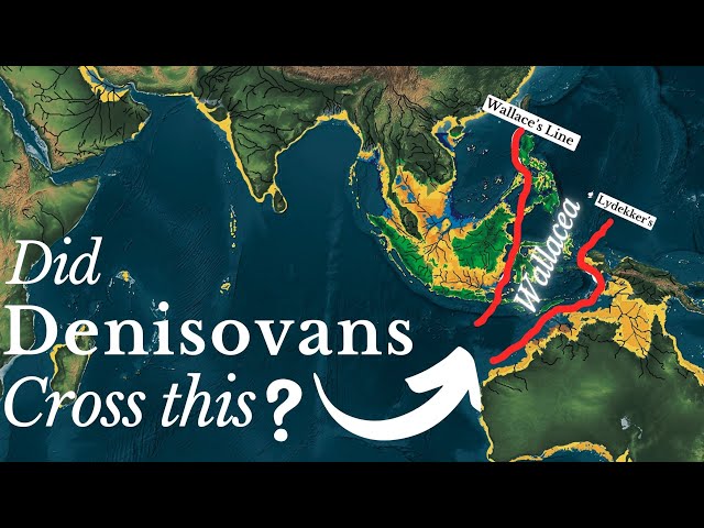 Did Denisovans Cross Wallace’s Line?