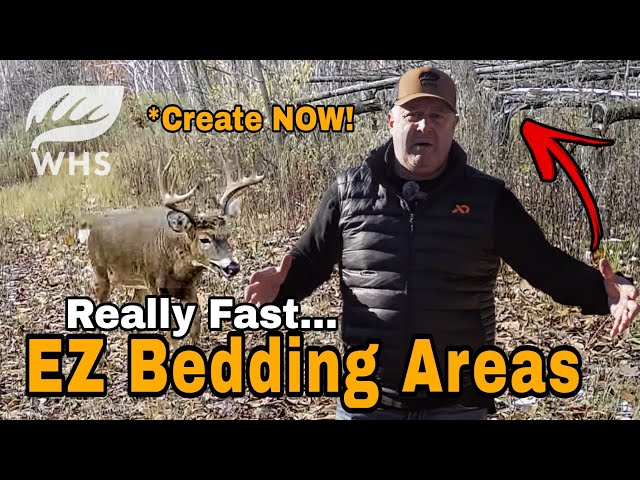 Create Fast And Easy Bedding Areas