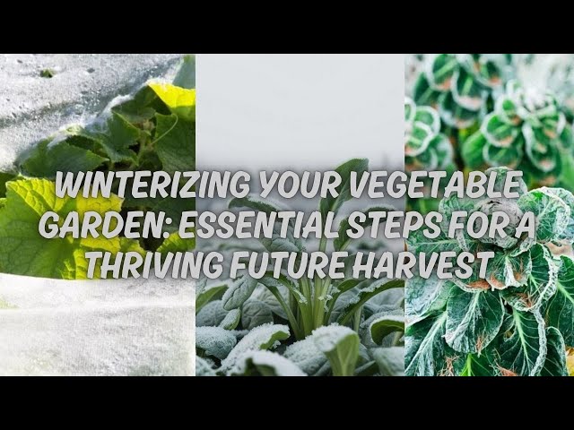 Winterizing Your Vegetable Garden: Essential Steps for a Thriving Future Harvest