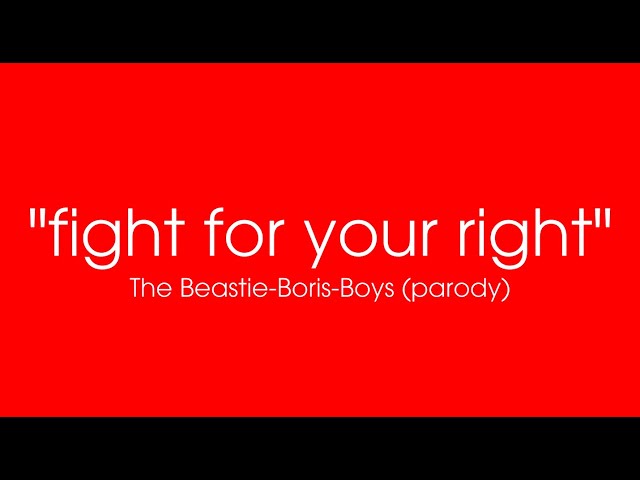 Fight For Your Right To Party (PARODY)