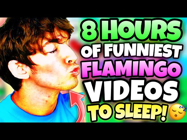 *8 HOURS* OF FLAMINGO TO FALL ASLEEP! (ROBLOX/MARATHON)