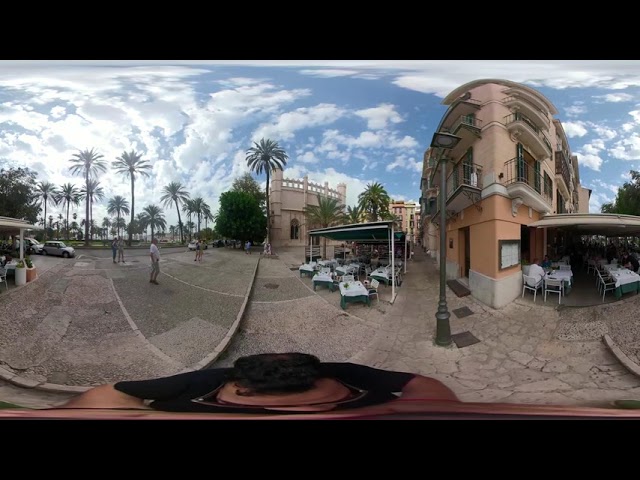 CABALLITO DE MAR  PALMA EN 360