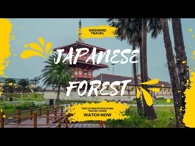 Eco Park Kolkata Japanese Forest special insta360 #ecopark #japaneseforest