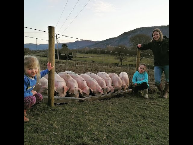 Farm Case Study 30: Moch Cymreig Fedwen, North Wales