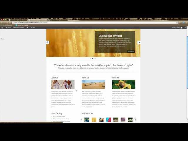 WordPress Tutorial - Elegant Themes - Chameleon Home Page Setup