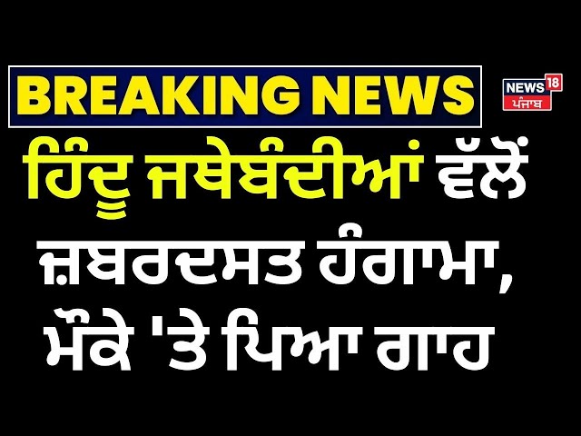 LIVE | ਹਿੰਦੂ ਜਥੇਬੰਦੀਆਂ ਵੱਲੋਂ ਜ਼ਬਰਦਸਤ ਹੰਗਾਮਾ, ਮੌਕੇ 'ਤੇ ਪਿਆ ਗਾਹ | Ludhiana News | News18 Punjab