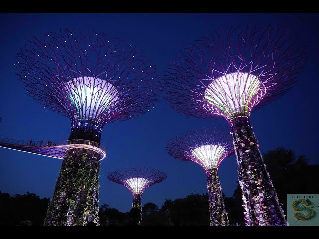 Gardens by the Bay - Singapur. Espectáculo de luces nocturno, Nighttime light show