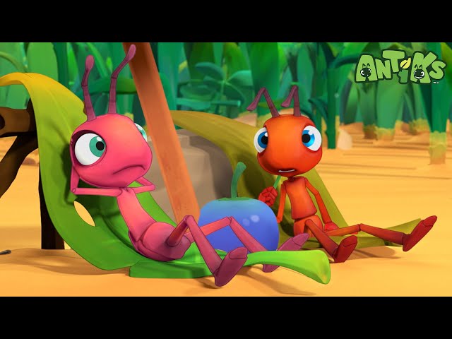 Beach Bums | Antiks 🐜 | Funny Cartoons for Kids