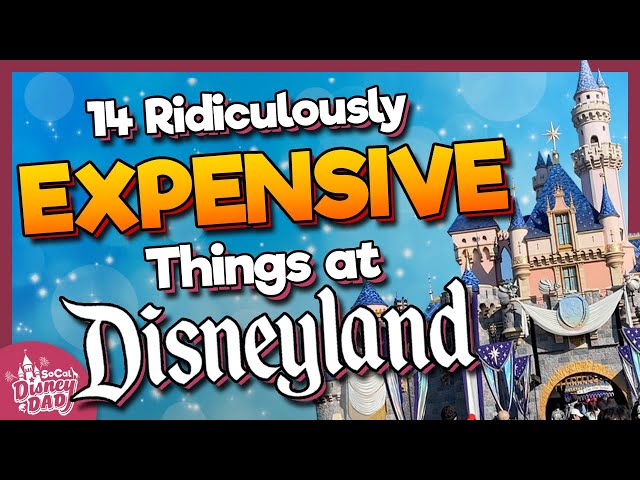 14 Ridiculously EXPENSIVE Things at Disneyland that are (Mostly) WORTH IT