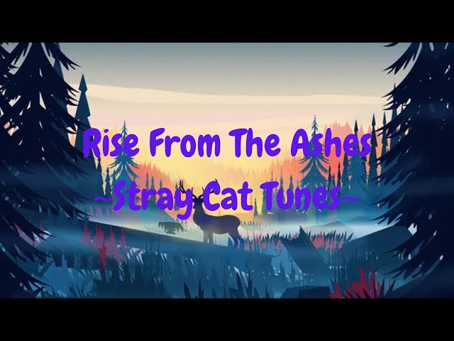 Rise From The Ashes - Stray Cat Tunes | Original Song