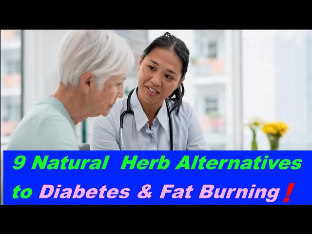 9 Herbs That Reduce Blood Sugar for Diabetes & Weight Loss!, But Cheap and Natural.         hb5