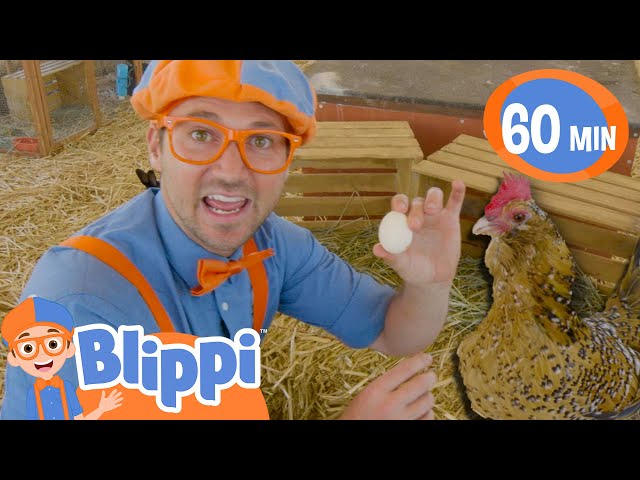 Blippi Chicken Song | 1 Hour of Blippi at the Farm | Moonbug Kids - Farm Animals