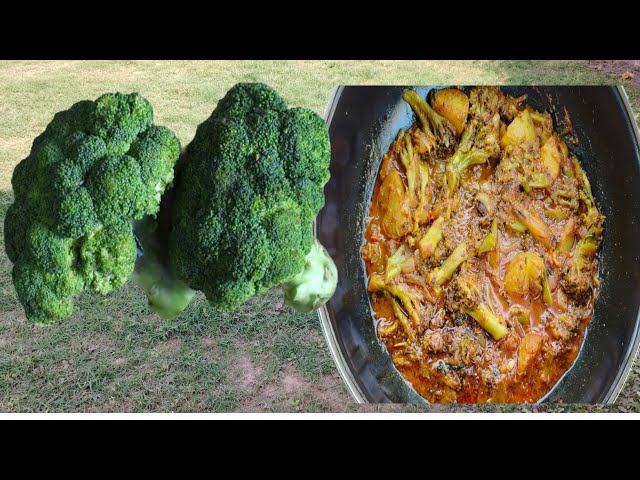 Broccoli 🥦 Recipe in 10 minutes Village cooking/ Village lifestyle vlog/ Village food vlog