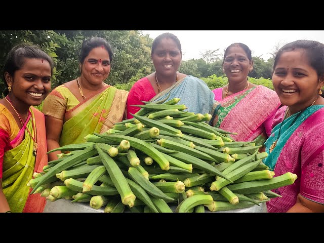 Lady's fingers Curry | Okra Recipe | బెండకాయ కూర | Telangana Village Food