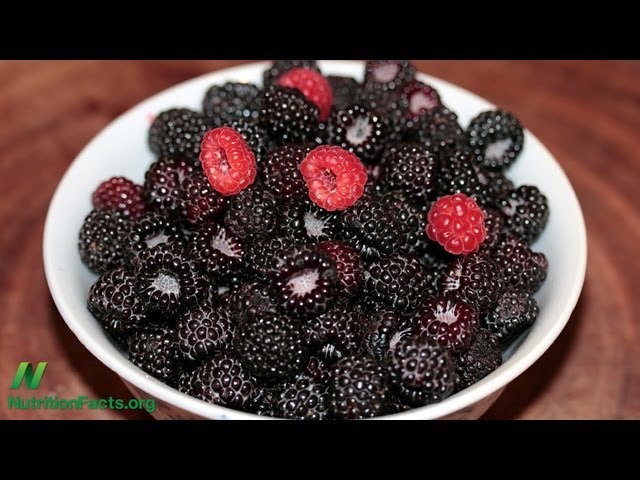 Black Raspberries versus Oral Cancer