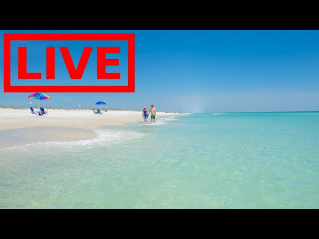 🌎 LIVE Florida Relaxing Beaches