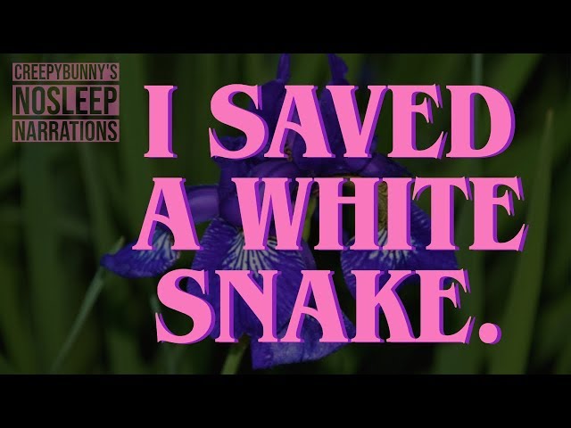 NOSLEEP: "I saved a white snake." by u/fainting--goat