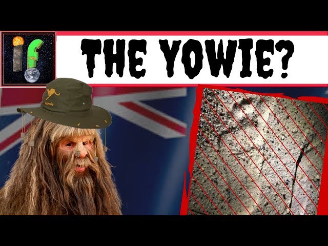 The  Yowie. Australia's Bigfoot!?