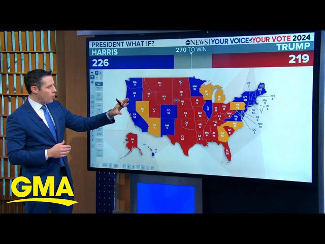 What polls say about the 2024 presidential election