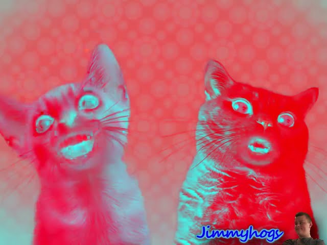 Preview 2 Numa Cat Effects 5