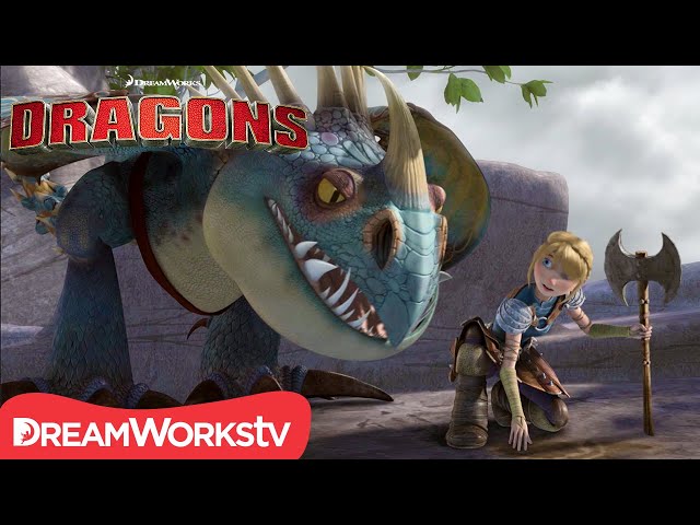 How to Tame Super Smart Tracker Dragons | HOW TO TRAIN YOUR DRAGON