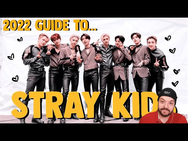 Learning about Stray Kids with TeaNoSuga's Guide