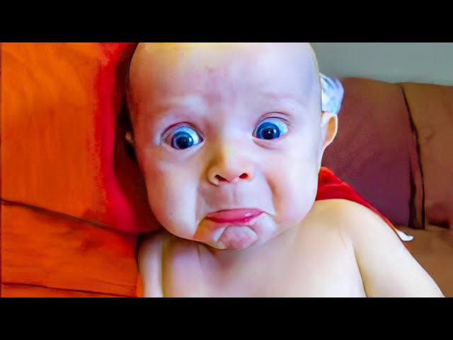 Try Not To Laugh With Funny Baby Videos in 30 Minutes | BABY BROS