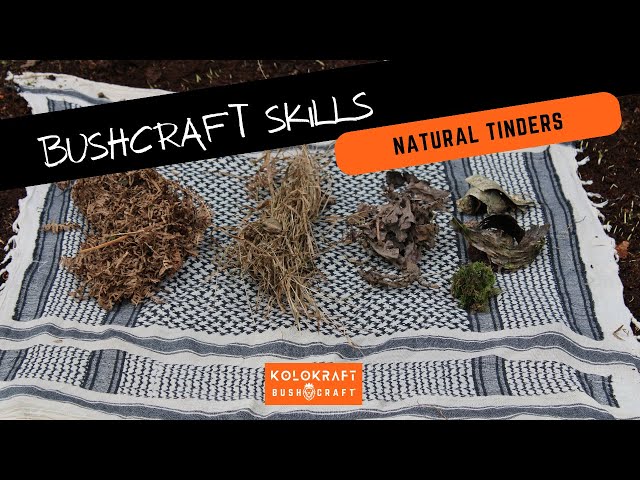 Bushcraft Skills - Trying Natural Tinders