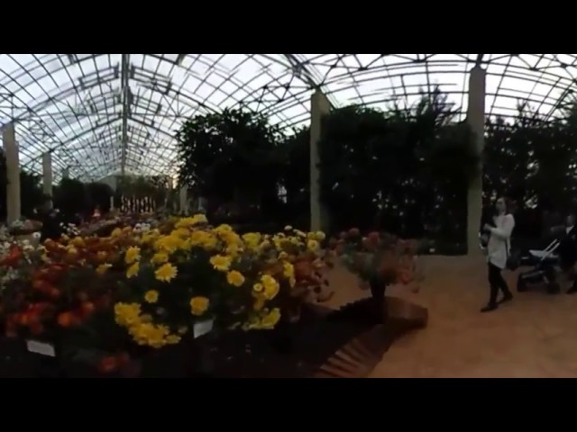 Autumn Flowers Expo - 360 video - Ricoh Theta S