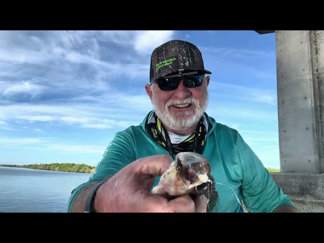 SUMMERTIME AND THE FISHING EASY ON LAKE OKEECHOBEE (Fish Deep )😊🎣