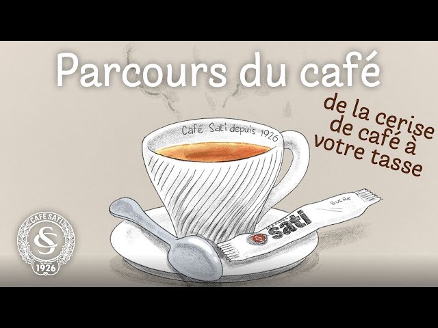 Parcours du café - Café Sati