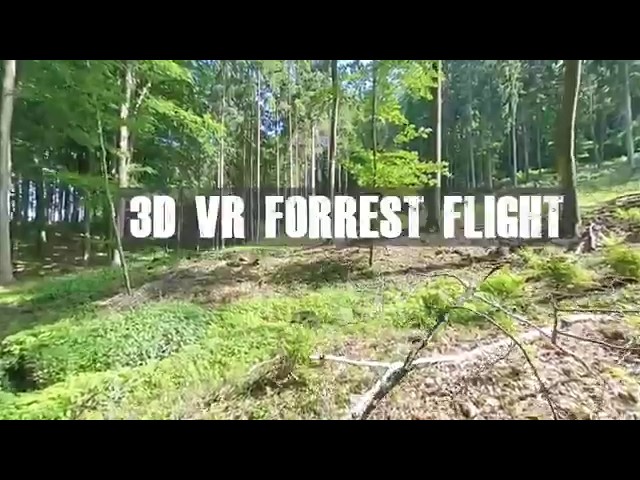 3D Meditation VR-flight through the German Forrest, this jumps your bloodpressure down