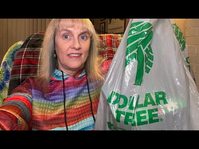 MY NEWEST DOLLAR TREE HAUL/ CHECK OUT ALL OF THE NEW THINGS I FOUND!