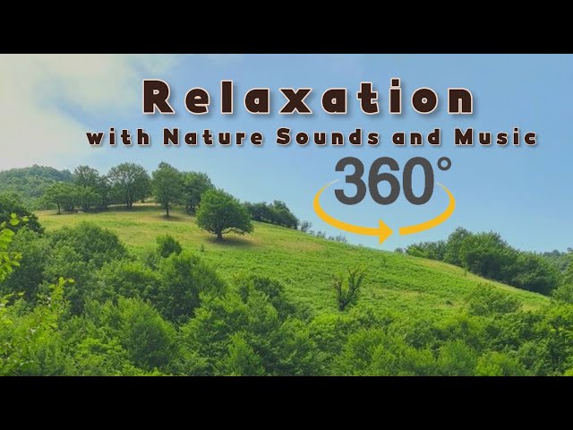 "Relaxing Rainy Day Meditation: 360 Degree Natural Images for Deep Sleep and Calmness"