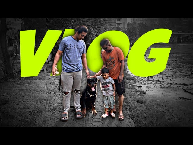 Rottweiler Met Kid | Rottweiler Is Really Dangerous For Humans ? | Day - 56 #dog #vlog #rottweiler