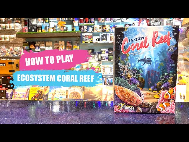 How to Play Ecosystem Coral Reef | Board Game Rules & Instructions