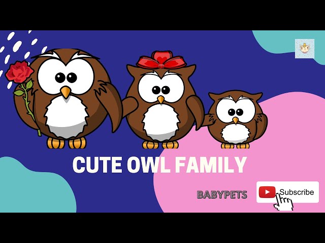 CUTE OWL FAMILY 😍😍😍DON'T FORGET TO WATCH IT TILL END#BabyPets