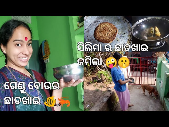 ଗେଣ୍ଡୂ ବୋଉର ଛାଡଖାଇ 🐠🦐🤪। shortsofmonali। odia vlog #dailyvlog #odiavlog #vlog