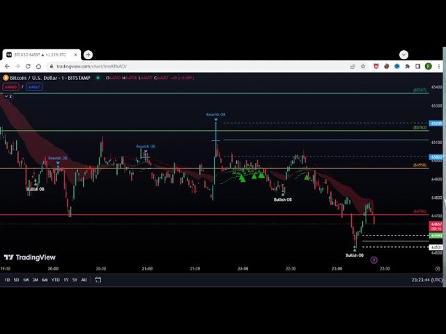 Bitcoin 100% profitable trading strategy | Beginners can never loss