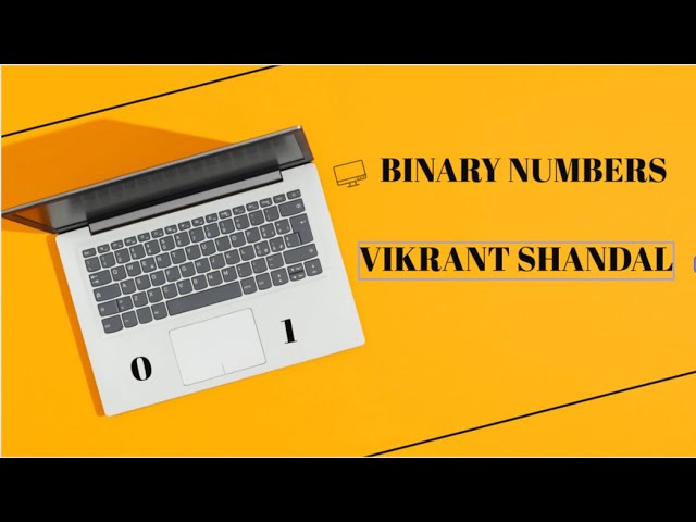 BINARY NUMBERS || VIKRANT SHANDAL