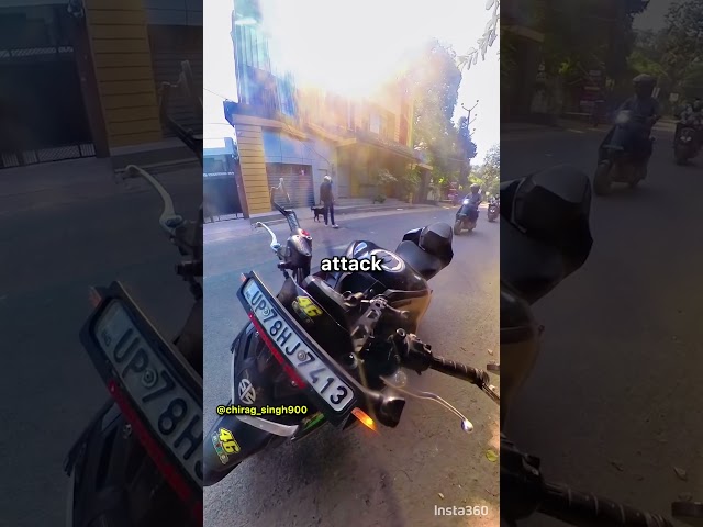 Dog Attacks Biker But Gets Instant Karma