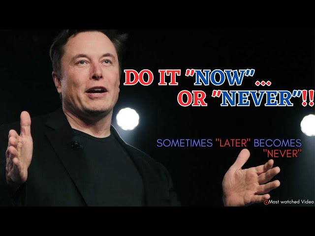 How to start a successful Company?😇👨‍💻| Elon Musk  #elonmusk #motivation