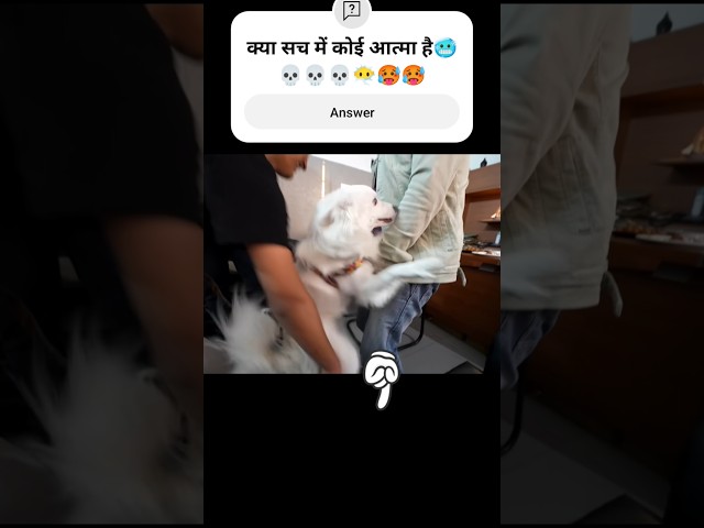 Guys यह Oreo को क्या हो गया है😱👻😈🥺 आत्मा.ka Attack🥺😶‍🌫️💀👻#shorts#viral#new#reels#souravjoshivlogs