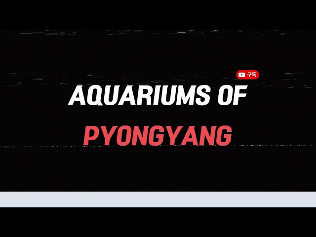 Aquariums of Pyongyang Introduction