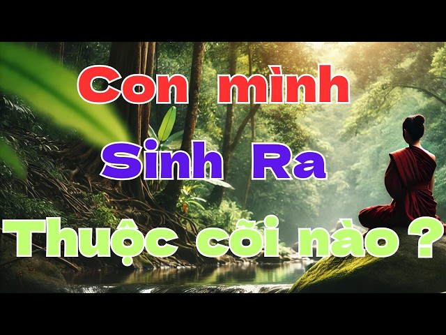 10 Cõi Chuyển sinh thành thai như thế nào ?