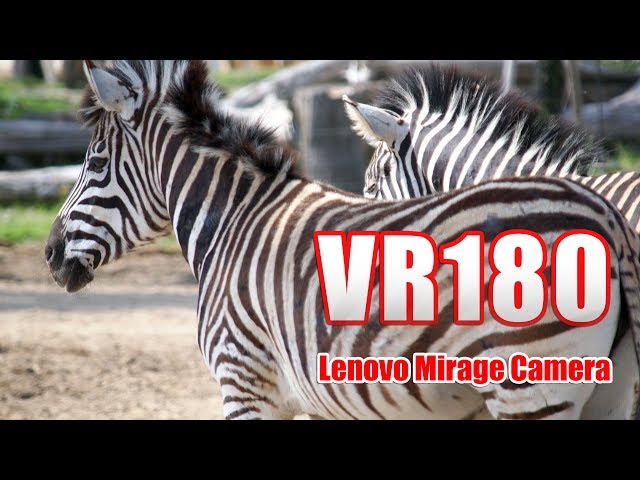 [VR180] アドベンチャーワールド ウォーキングサファリ VR [Mirage Solo Camera]