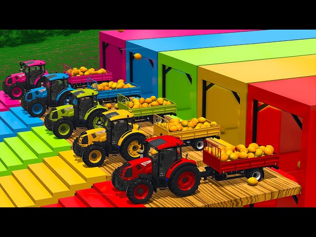 LOAD AND TRANSPORT LEMONS WITH CLAAS TRACTORS & LOADERS - Farming Simulator 25